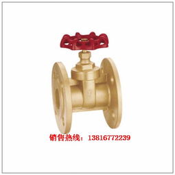 铜阀门 上海信核阀门科技 高温高压阀门 高压阀门 高温阀门
