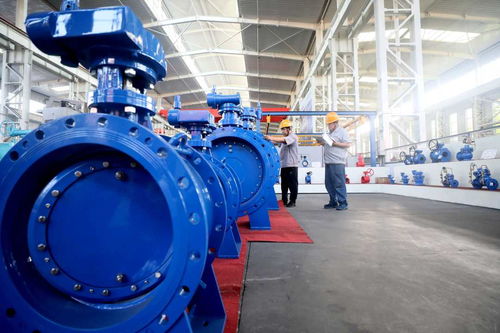 小阀门 大制造